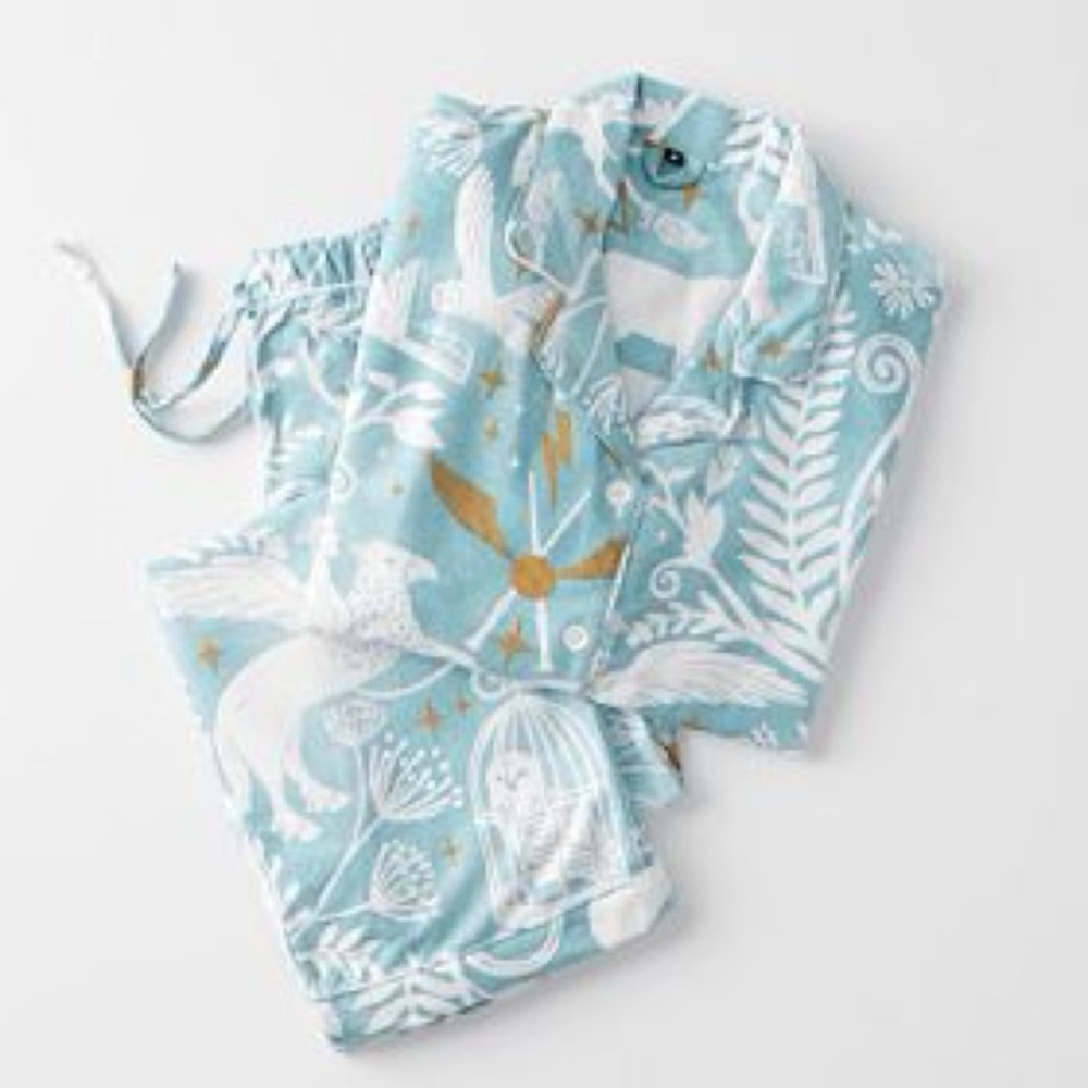 Pottery Barn Teen Pajamas Set • Harry Potter • SOLD OUT!